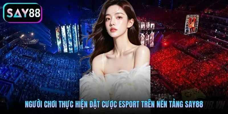 Người chơi thực hiện đặt cược Esport trên nền tảng Say88