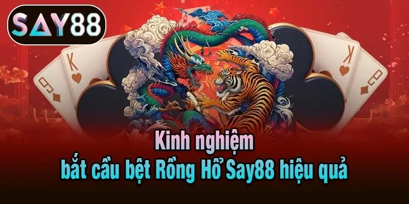 Kinh nghiệm bắt cầu bệt Rồng Hổ Say88 hiệu quả