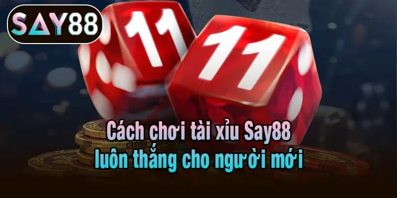 Cách chơi tài xỉu Say88 luôn thắng cho người mới