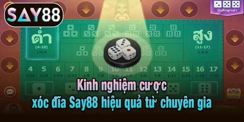 Kinh nghiệm cược xóc đĩa Say88 hiệu quả từ chuyên gia